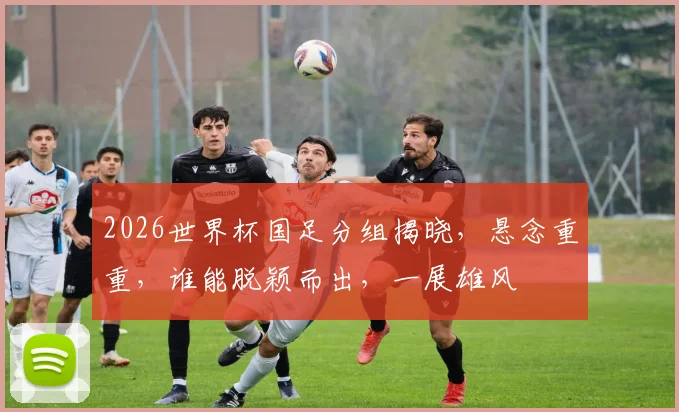 2026世界杯国足分组揭晓，悬念重重，谁能脱颖而出，一展雄风