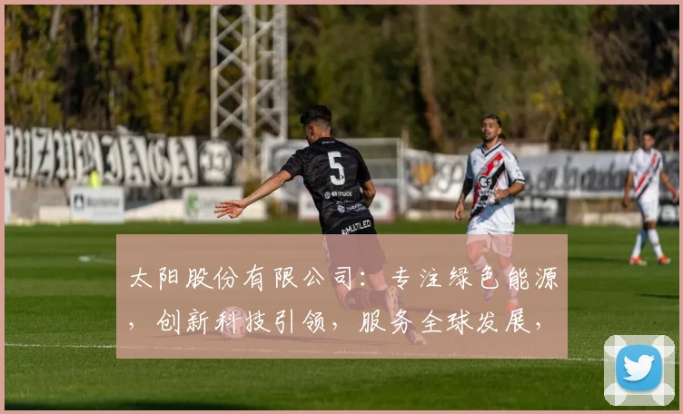 太阳股份有限公司：专注绿色能源，创新科技引领，服务全球发展，三大亮点助力企业腾飞